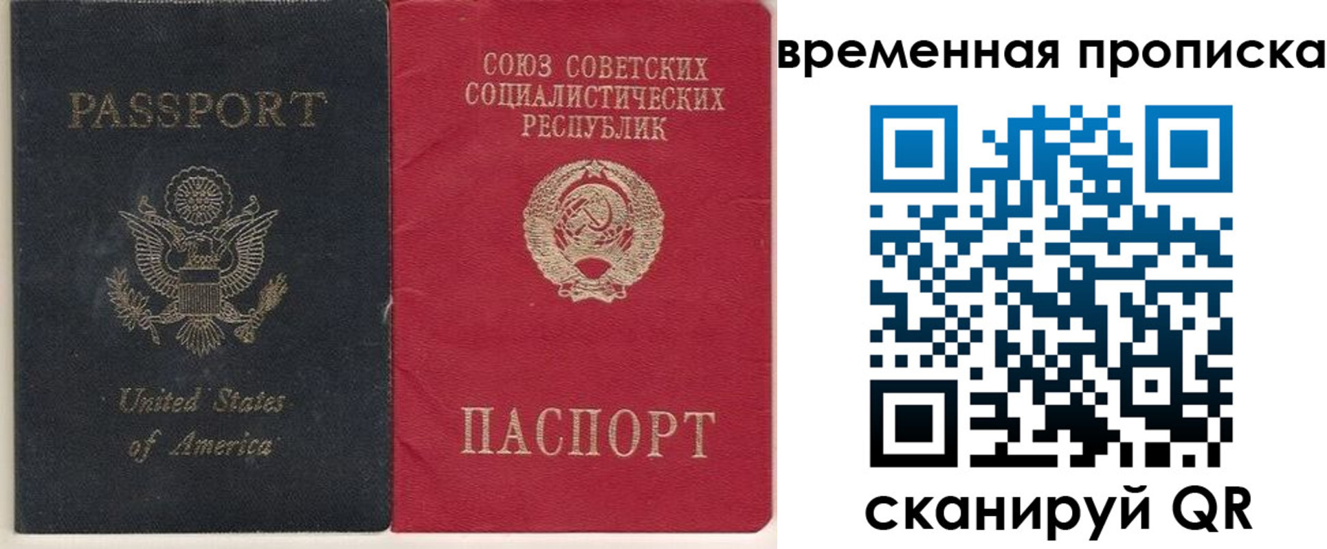 прописка для школы в Вологодской области